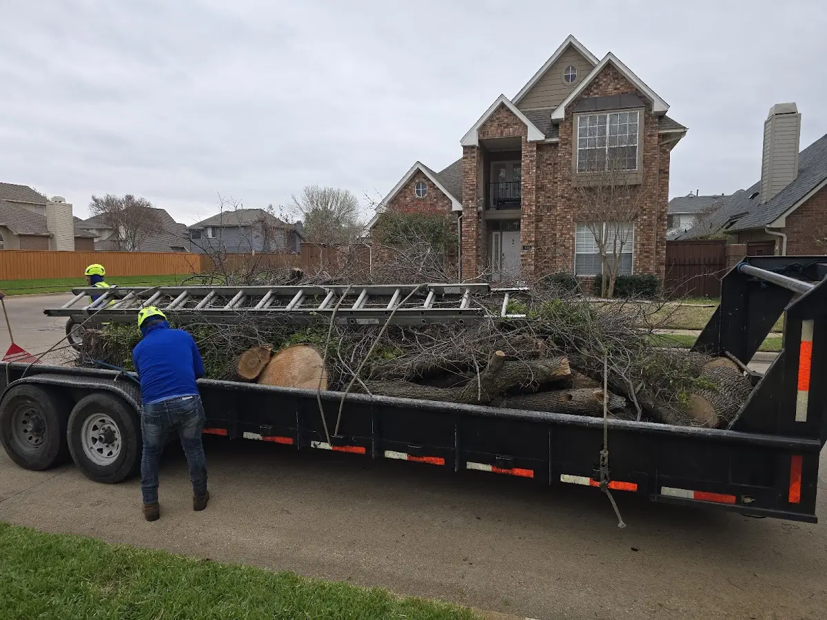 Expert Tree Pest Control with proper safety equipment in Whittemore